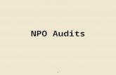 NPO Audits