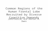 Common Regions of the Human Frontal Lobe Recruited by Diverse Cognitive Demands