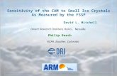 Sensitivity of the CAM to Small Ice Crystals As Measured by the FSSP