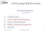 SAS group R&D results