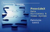 ProvideX Data Dictionary & Views System