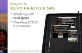 Project 8: BLVD Fluid Grid Site