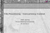 File Processing : Concurrency Control
