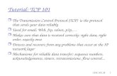 Tutorial: TCP 101