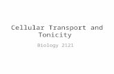 Cellular Transport and Tonicity