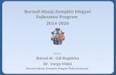 Borsod-Abaúj-Zemplén Megyei Fejlesztési Program  2014-2020 Előadó:  Bánné dr. Gál Boglárka