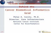 Vision and Infrastructure Behind the  Cancer Biomedical Informatics Grid