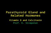 Parathyroid Gland and Related Hormones