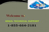 1-855-664-2181 Gmail Contact Number Password Recovery