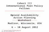 Cohort III International Pain Policy Fellows