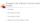 Chapter 18: Electric Forces and Fields