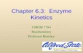 Chapter 6.3:  Enzyme Kinetics