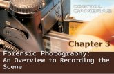 Forensic Photography: An Overview to Recording the Scene
