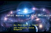 What makes up the Universe