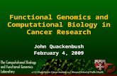 Functional Genomics and Computational Biology in Cancer Research