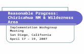 Reasonable Progress: Chiricahua NM & Wilderness Area