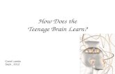 How Does the  Teenage Brain Learn?