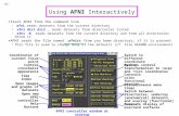 Using  AFNI  Interactively