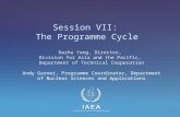 Session VII:  The Programme Cycle