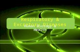 Respiratory & Excretory Diseases