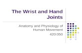 The Wrist and Hand Joints