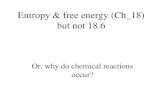 Entropy & free energy (Ch_18) but not 18.6