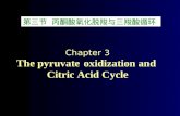 第三节 丙酮酸氧化脱羧与三羧酸循环