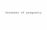 Hormones of pregnancy