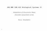 JHU BME 580.422 Biological Systems II Adaptation of Visuomotor Maps Disorders of parietal cortex