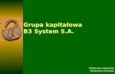 Grupa kapitałowa         B3 System S.A