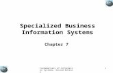 Specialized Business Information Systems