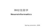 神经信息学 Neuroinformatics