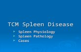 TCM Spleen Disease