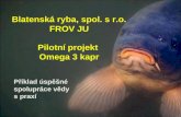 Blatenská ryba, spol. s r.o. FROV JU Pilotní projekt  Omega 3 kapr