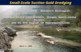 Small-Scale Suction Gold Dredging