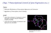 Chap. 7 Transcriptional Control of Gene Expression  (Part C)