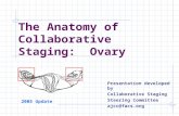 The Anatomy of Collaborative Staging:  Ovary