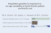 Population genetics & responses to  ice-age variability in North Pacific pollock and Pacific cod