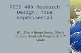 PEDS 409 Research Design: True Experimental
