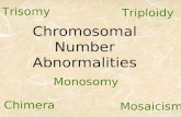 Chromosomal Number Abnormalities