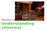 Module 10 Understanding chemical reactions