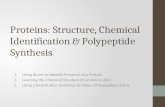 Proteins: Structure, Chemical Identification & Polypeptide Synthesis