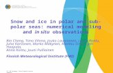 Snow and ice in polar and sub-polar seas: numerical modeling and  in situ  observations