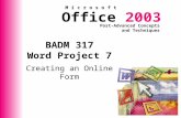 BADM 317 Word Project 7