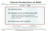 Charm Production at RHIC