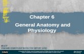 Chapter 6  General Anatomy and Physiology