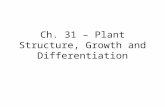 Ch. 31 – Plant Structure, Growth and Differentiation