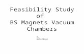Feasibility Study of  BS Magnets  Vacuum Chambers