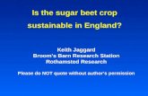 Is the sugar beet crop sustainable in England?