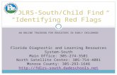 FDLRS-South/Child Find “Identifying Red Flags”